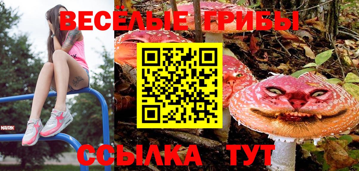 Псилоцибиновые грибы Psilocybe  Вход с VPN  Ноябрьск  Галлюциногенные грибы прущие грибы 